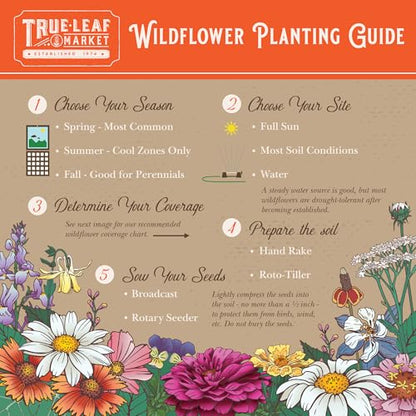 Mountain Valley Seed Co Wildflower Seed - Rocky Mountain Mix 2 oz Non-GMO | 80,000 Seeds – 18 Varieties – Bulk Pollinator-Friendly Blend for Planting - style: Rocky Mountain