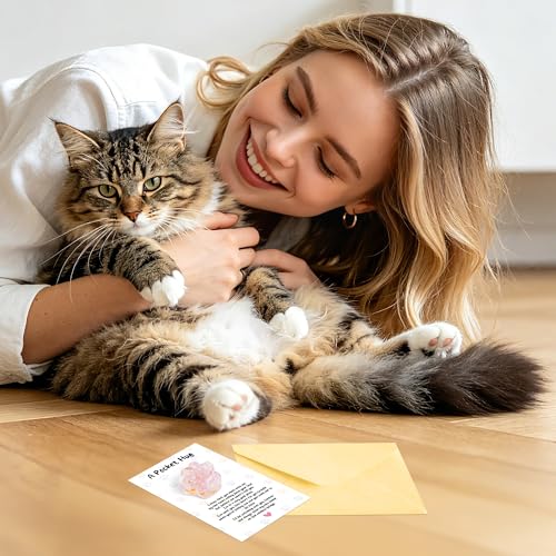 EYxsaxenk Loss of Pet Sympathy Gift - Pink Crystal Mini Paw Pocket Hug with Memorial Card Envelope Remembrance Bereavement Gift for Loss of Dog Cat Sympathy Favor Adult Pet Lover Stress Relief Supply - color: 1pcs Pink + I Know Card