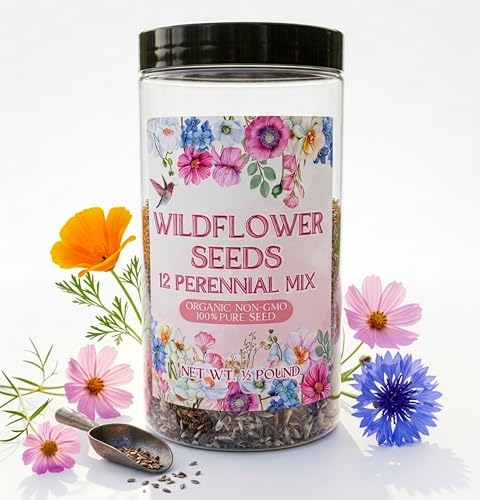 Wildflower Seeds 1/2lb Perennial - 100% Pure Organic Non-GMO Seed Mix - 12 Hardy Varieties for Pollinators, Bees & Butterflies - Bulk 1/2 Pound Jar for 1,000 Sq Ft Garden & Meadow Coverage (1/2 Pound) - size: 1/2 Pound