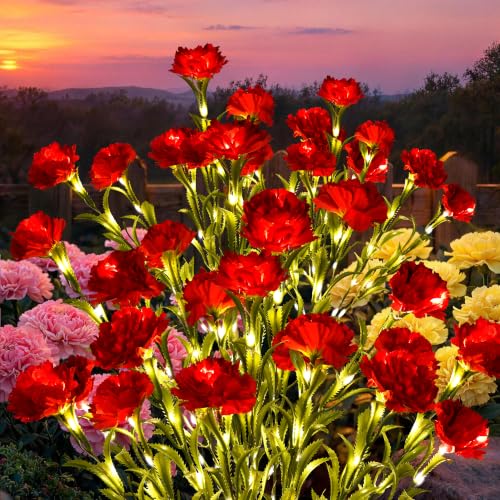GIGALUMI 4 Pack Solar 28 Carnations Flowers Outdoor, 2 Modes, Red - color: Red, size: 4 PACK
