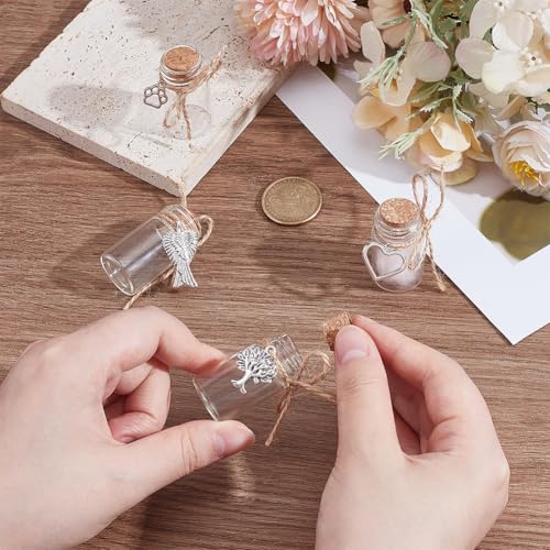 PH PandaHall 4pcs Pet Hair Memorial Bottle, Pet Memorial Urn Glass Vial Clear Cat Dog Hair Keepsake Ashes Holder with Silver Charms for Pet Loss Bereavement Home Decor Sympathy Gift, 1.6inch