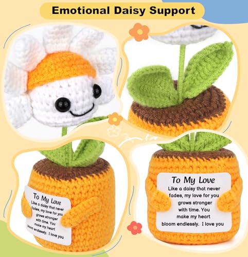 Sizobi Valentines Day Gifts for Him Her - Positive Daisy Crochet | Anniversary Birthday Gifts for Men Women Boyfriend Girlfriend Husband Wife, Couple Valentines Gift, I Love You Wedding Gift - style: To My Love