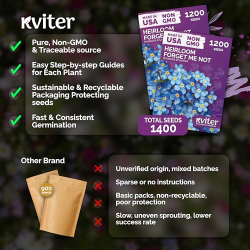 2,400 Forget Me Not Heirloom Flower Seeds for Planting, Myosotis Sylvatica | Charming Blue Spring Flowers for Shady Gardens, Easy to Grow Seed Packets , Heirloom Seeds for Planting, Perfect for Borders