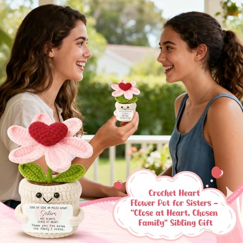 Sister Birthday Gifts from Sisters Brother, Thank you for being the family I chose Birthday Valentines Christmas, Mini Crochet Flower Affirmation Support Presents, Long Distance Gift for Bestie - color: Sisters2