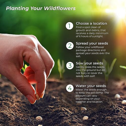 Wisconsin Wildflower Seed Mix – Over 40,000 Flower Seeds, Covers 300 Sq Ft | 16 Colorful Annual and Perennial Wildflower Varieties for Wisconsin Gardens, Attracts Bees, Butterflies and Other Pollinators