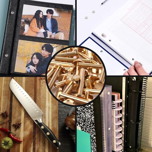 Chicago Binding Screws - 4mm x 28mm Binding Posts - 10mm Phillips Nut - Chicago Screw Binding Post Screw Kit for DIY Leather Decoration Scrapbook Photo Albums Bookbinding (Brass, 25 PCS) - size: 4mm x 28mm