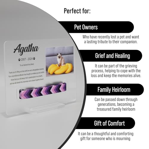 Personalized Pet Memorial Plaque Portrait, Custom Dog Remembrance Gifts for Loss, Cat Sympathy Night Lights, in Memory of Dog Passing Away Sign, Cat Rainbow Bridge Photo Frame (With Collar Hole) - style: With Collar Hole