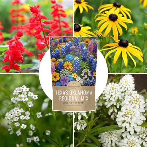 Texas Oklahoma Regional Mix Seeds for Planting - Bulk 1 Pound Bag - Over 240,000 Native Seeds - Open Pollinated and Non GMO - size: Bulk 1 Pound, style: Texas / Oklahoma Regional Mix
