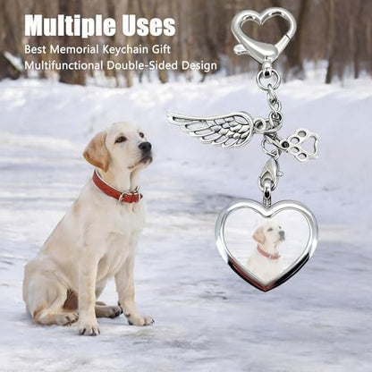 Pet Loss Sympathy Gift for Dog or Cat Owners, Heart Fur Memorial Keychain, Stainless Steel & Glass Keepsake Locket, Emotional Pet Remembrance Keyring for Daily Carry or Bag Charm