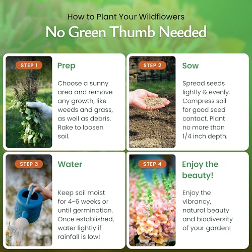 Hummingbird & Butterfly Wildflower Seed Mix, 60,000 Seeds, Covers 300 Sq Ft | 18 annual and perennial varieties with colorful blooms that attract hummingbirds, butterflies, and other pollinators. - style: Hummingbird & Butterfly