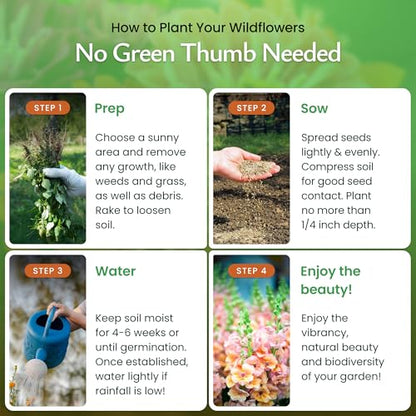 Hummingbird & Butterfly Wildflower Seed Mix, 60,000 Seeds, Covers 300 Sq Ft | 18 annual and perennial varieties with colorful blooms that attract hummingbirds, butterflies, and other pollinators. - style: Hummingbird & Butterfly