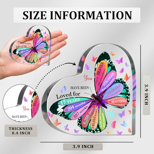 17th Birthday Acrylic Sign, 4" x 4" Butterfly Birthday Sign, Heart-Shaped, Multi-Color, Tabletop Decor - style: 17th Birthday