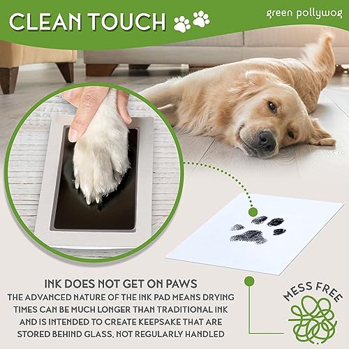 Green Pollywog Paw Print & Nose Print Keepsake Kit with Ink Pad - size: Paw Print Frame Kit - White
