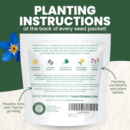 Chinese Forget Me Not – 4,000 Seeds for Planting – 2026 Season – 1 Ounce Pouch - size: 1 oz