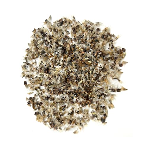 Ferry-Morse Colorado Western Bulk Wildflower Seeds, 500,000+, 1 lb - color: Colorado Western