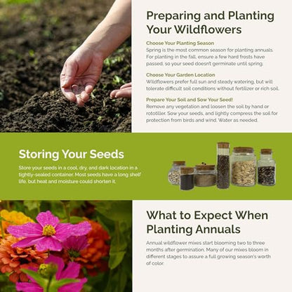 Eden Brothers Cosmic Zen Flower Mixed Seeds for Planting, 1 lb - size: 1 Pound, style: Cosmic Zen