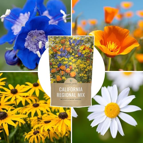 California Natives Mix - Bulk 1 Pound Bag - Over 120,000 Native Seeds - Open Pollinated and Non GMO - size: Bulk 1 Pound, style: California Regional Mix