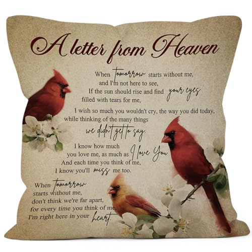 Vintage Cardinal Memorial Gifts Throw Pillow Cover 18x18, Remembrance Sympathy Bereavement Gifts Decor Pillow Cases for Bedroom Living Room, a Letter from Heaven Decorative Square Pillowcases - color: Heaven Cardinal