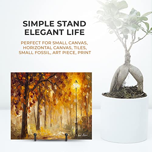 TR-LIFE 3 Pack 3 Inch Plate Stands for Display - Small Easel Holder Stand for Picture, Decorative Plate, Platter, Book, Photo - size: 3 Inch