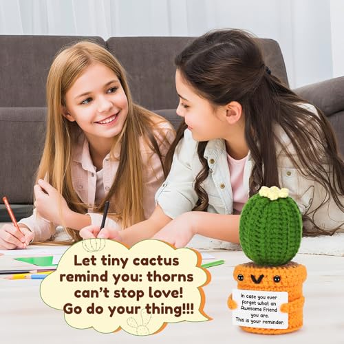 Agantree art Birthday Friend Gifts for Women Best Friend Birthday Long Distance Graduation Friendship Gifts for Woman Her, Sister, Besties, Crochet Cactus Desk Decor Christmas - style: Friend