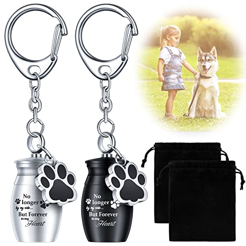 Tudomro 2 Pcs Pet Urn Keychain for Ashes Dog Cat Paw Print - color: Fresh Style
