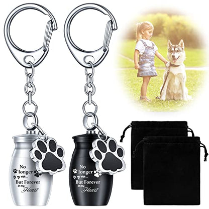 Tudomro 2 Pcs Pet Urn Keychain for Ashes Dog Cat Paw Print - color: Fresh Style