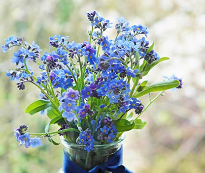 Set of 25 Forget-Me-Not Memorial Seed Packets – Individually Sealed – Non-GMO & Heirloom – Beautiful Tribute to Honor Loved Ones
