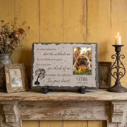 Personalized Photo Pet Memorial Stone for Dogs Cats - color: Memorial 7