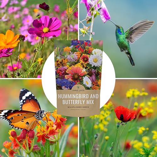 Bulk Wildflower Seeds Butterfly and Hummingbird Mix - 1 Pound Bag - Over 120,000 Open Pollinated Annual and Perennial Seeds - size: Bulk 1 Pound