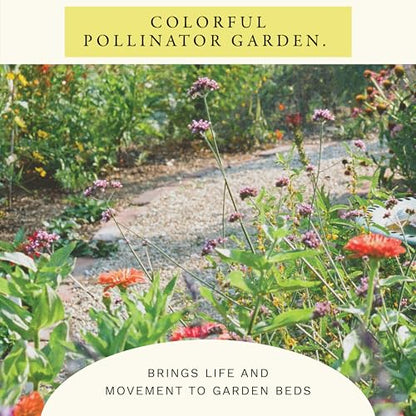 Sereniseed Hummingbird Wildflower Mix Seeds (2 oz)