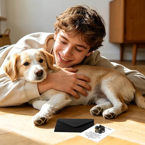 EYxsaxenk Loss of Pet Sympathy Gift Black Obsidian Cute Mini Paw Pocket Hug | Keepsake with memorial card envelope, Loss of dog cat sympathy favor, Remembrance gift for pet lover, Adult stress relief toy - color: Black + I Know Card