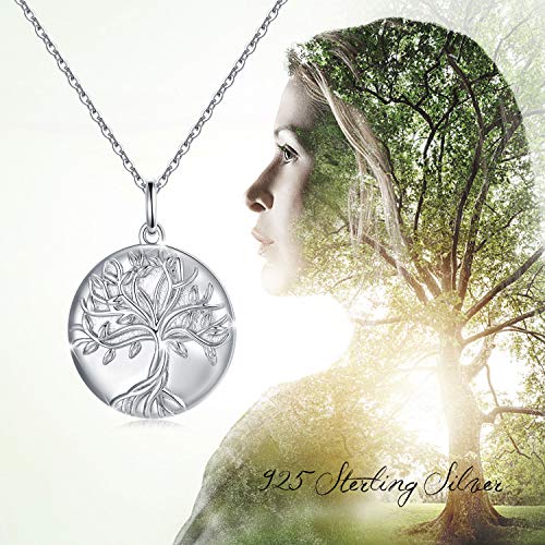 TUGHRA Mother's Day Gifts Gold Locket Necklaces for Women, 925 Sterling Silver Heart Photo Lockets Memorial Keepsake Jewelry Gift for Mom, Wife, Daughter - style: 0372-Silver