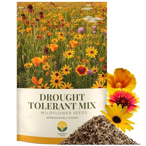 Drought Tolerant Wildflower Mix, 1 oz, 20,000+ Seeds | Extra Large Resealable Packet, Non-GMO Flower Seeds for Dry Climates