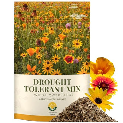 Drought Tolerant Wildflower Mix, 1 oz, 20,000+ Seeds | Extra Large Resealable Packet, Non-GMO Flower Seeds for Dry Climates