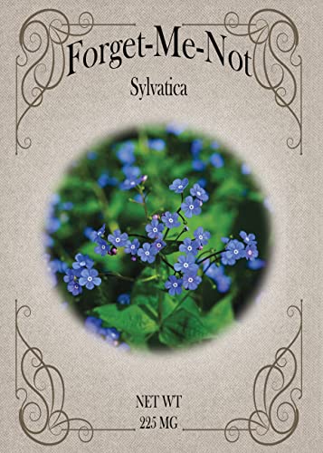 Set of Forget me Not Flower Seed Packets - Create Your Dream Garden - Bulk Flower Seeds (50)