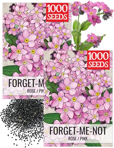 Seed Needs Rose Forget Me Not Seeds to Plant Pink Flowers Outdoors 2 Packs - size: 2 Packs, style: Rose FMN
