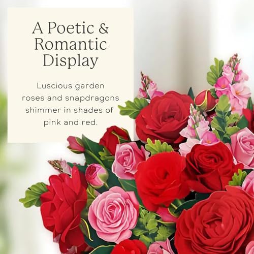 Freshcut Paper Grande Blooming Roses 20.5 Inch Life-Sized 3D Pop Up Cards – Anniversary, Valentine's Day, Mothers Day, Thank You, Gifts for Mom and Her – Includes Notecard and Envelope - color: Blooming Roses, size: Grande