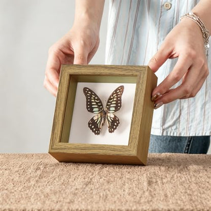 4x4 Mini Shadow Box Frame with Ultra-Clear Glass & Soft Linen Back | With Push Pins, Deep 1.2" Brown Shadow Box Display Case – Display on Tabletop or Wall for Insect, Photo, Flower, Keepsakes - color: Brown+high Definition Panel + Shatter-proof Packaging,