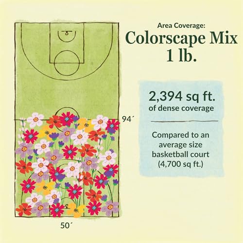 Ferry-Morse Colorscape Bulk Wildflower Seeds, 440,000+, 1 lb - color: Colorscape