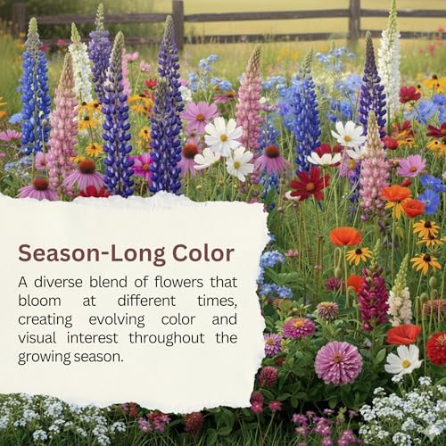 Butterfly and Hummingbird Wildflower Mix – 30,000+ Seeds – 1 oz Bulk Extra Large Resealable Packet – Non-GMO Open Pollinated Wildflower Seeds