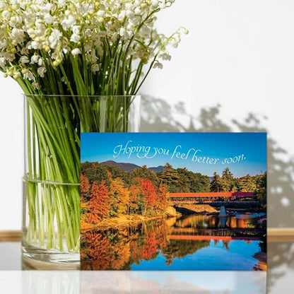 KJV Value Pack Greeting Cards, 48 Count | Versatile Religious Card Collection With KJV Scripture Helps You Celebrate Every Special Occasion