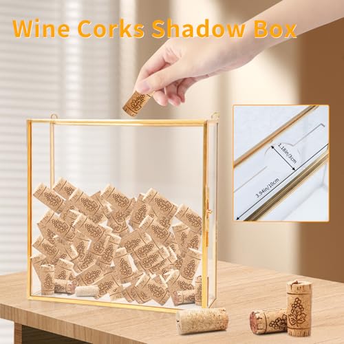 8x8 Travel Shadow Box Frame with Slot on Top, Glass Shadow Display Box Memory Top Loading Shadow Keepsake Box for Tickets, Photos,Wine Bottle Caps,Collections(Gold)