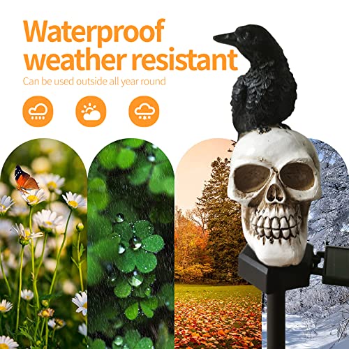 QH & Garden Halloween Skull Solar Garden Statue with Black Crow | Outdoor Decoration, Waterproof Ghost Lights, Skeleton Stakes with LED, Stunning Halloween Decorations - style: Skull and Crow