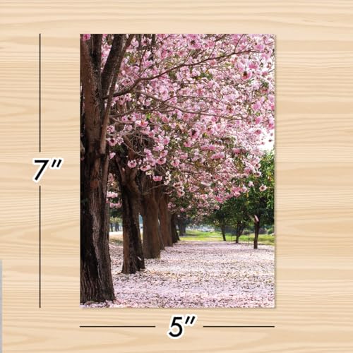 Designer Greetings For Your Words, Blank Cards 6 Pack - color: Cherry Blossom Trees
