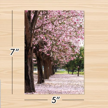 Designer Greetings For Your Words, Blank Cards 6 Pack - color: Cherry Blossom Trees