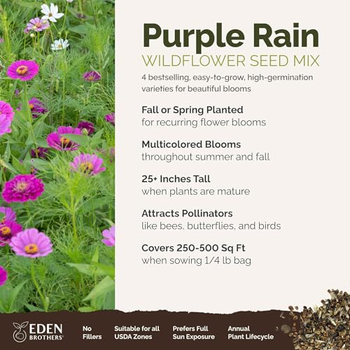 Eden Brothers Purple Rain Flower Mixed Seeds for Planting, 1/4 lb, 120,000+ Seeds with Zinnia Purple Prince & Violet Queen, Cosmos, Attracts Pollinators, Plant in Spring, Zones 3, 4, 5, 6, 7, 8, 9, 10 - size: 1/4 Pound, style: Purple Rain