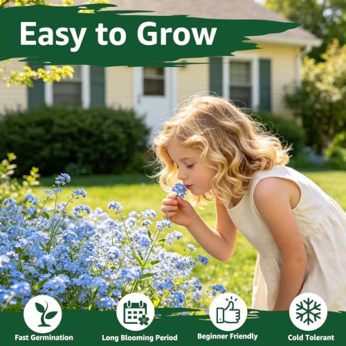 5600+ Forget Me Not Seeds for Planting, Easy to Grow Blue Forget-Me-Not Flowers, Perennial Wildflower Seeds for Ground Cover, Borders & Pollinator Gardens - size: 0.7 oz