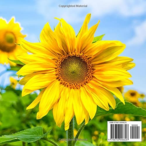 Funeral Guest Books Celebration Of Life: Sunflower Memorial Funeral Guest Book