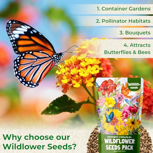 160000+ Wildflower Seeds Bulk, 13 Varieties Perennial & Annual Mix, 4oz | High germination mix that attracts bees, butterflies and hummingbirds, perfect for pollinator gardens and as a gift for women - color: wildflower
