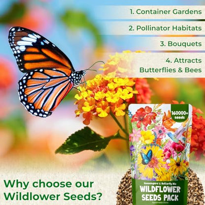 160000+ Wildflower Seeds Bulk, 13 Varieties Perennial & Annual Mix, 4oz - color: wildflower